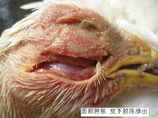 ���ʕr��(y��ng)ԓ��ʲô��λ��ʲô��λ�l(f��)��ʲô����